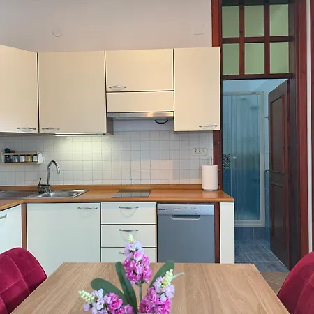 Апартаменты Beach Apartment Vantacici